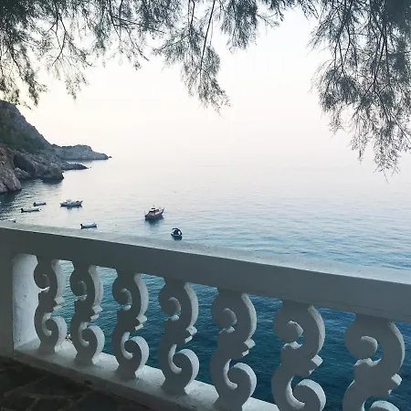 فيلة Luminosa Kyra Panagia